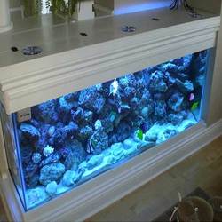 Glass Aquariums